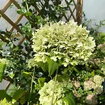D'hotes L'heure Bleue Bed & Breakfast Saint-Palais-sur-Mer